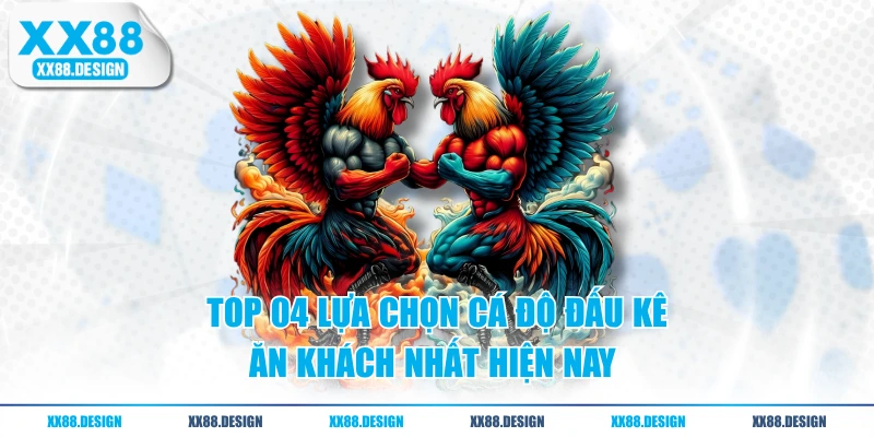 Top 04 lựa chọn cá độ đấu kê ăn khách nhất hiện nay 